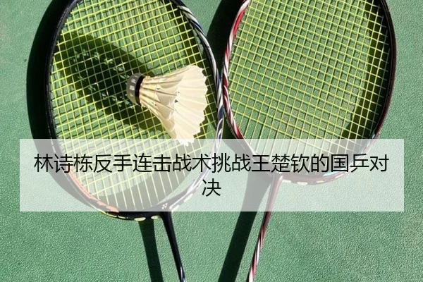 lin-shi-dong-fan-shou-lian-ji-zhan-shu-tiao-zhan-wang-chu-qin-de-guo-ping-dui-jue-3-418.jpg