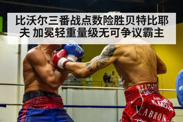 比沃尔三番战点数险胜贝特比耶夫 加冕轻重量级无可争议霸主
