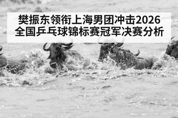 樊振东领衔上海男团冲击2026全国乒乓球锦标赛冠军决赛分析